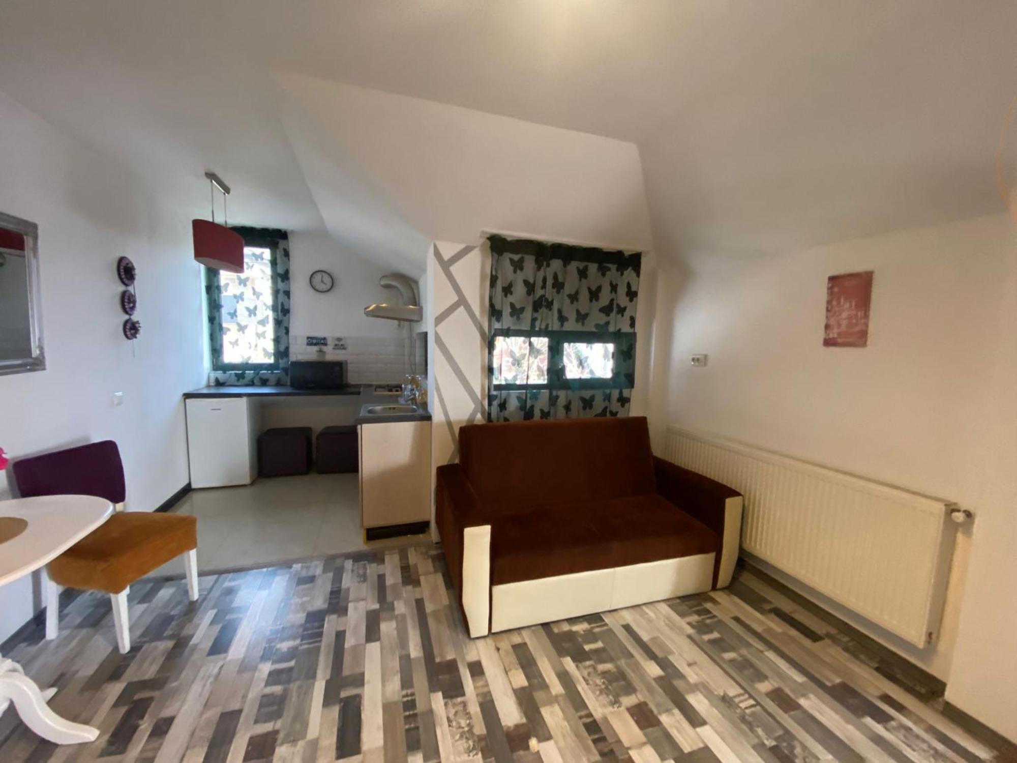 Millenium Apartment Central Крайова Номер фото