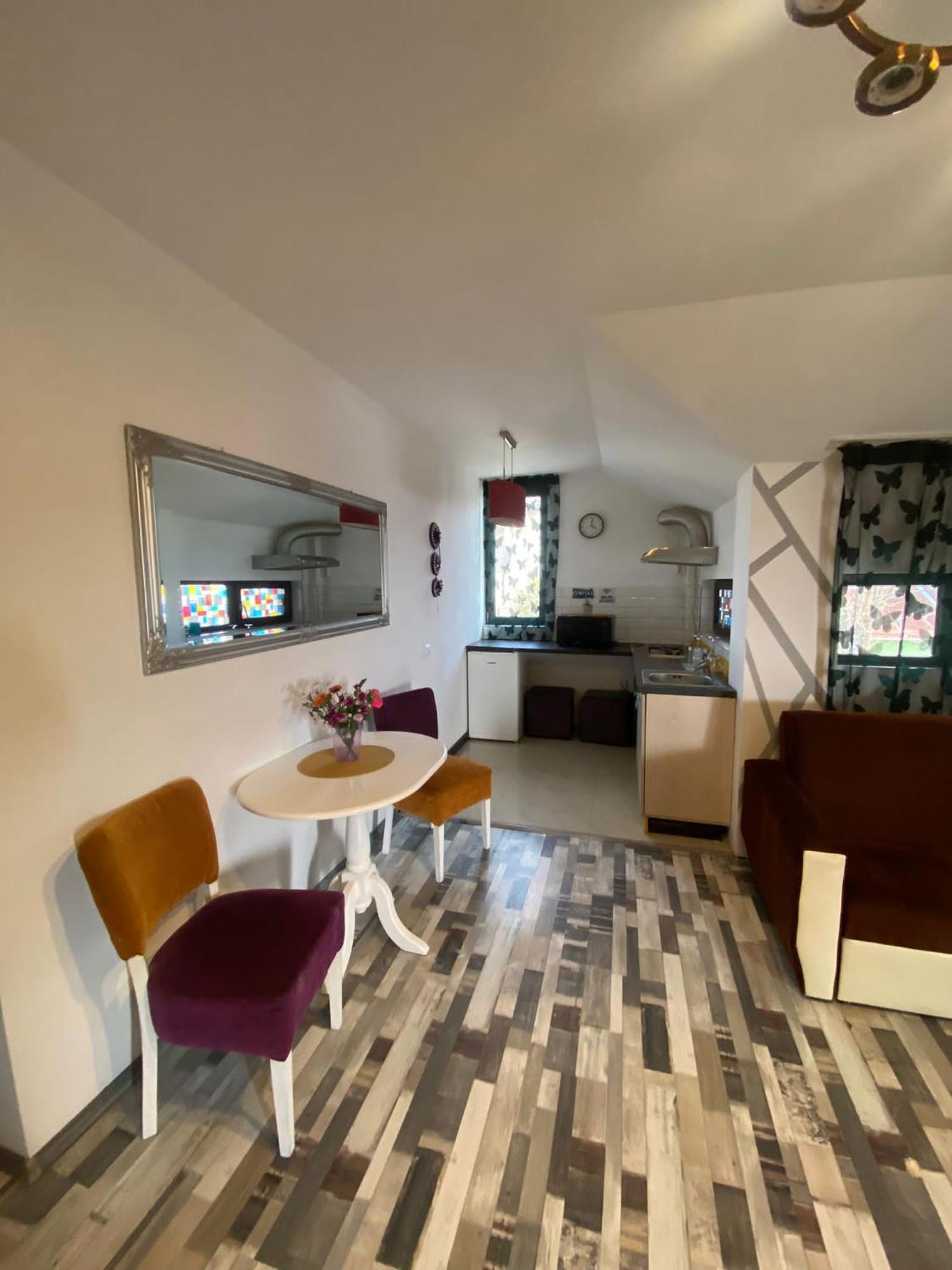 Millenium Apartment Central Крайова Номер фото
